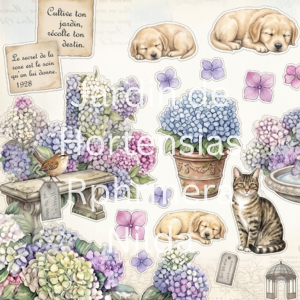 Jardin de Hortensias 3